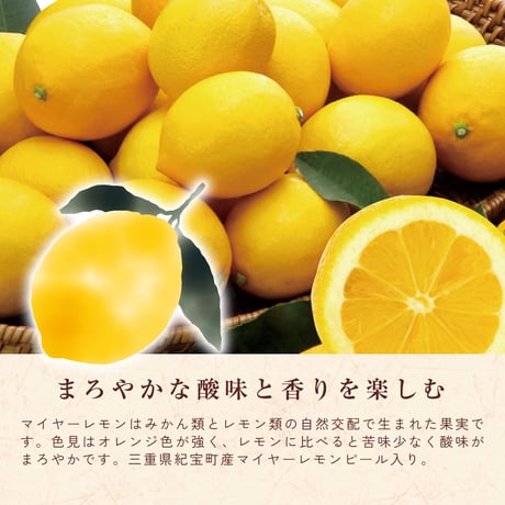 伊勢の和紅茶　マイヤーレモンティー【5個入り】