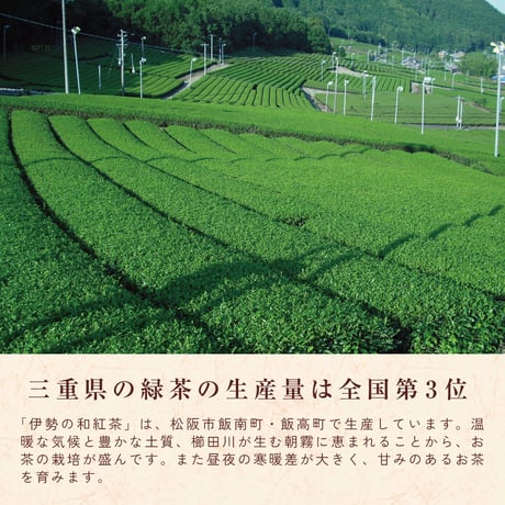 伊勢の和紅茶　マイヤーレモンティー【5個入り】