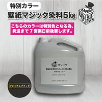 ◆単品◆　【プレミアムブラック】　壁紙マジック　５㎏