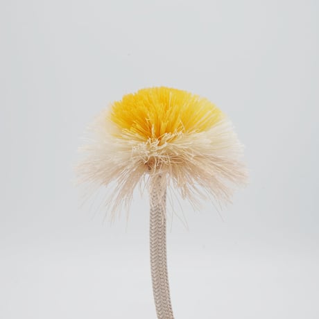 平唐　菊房（きくぶさ）　白茶