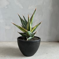 fit=cover,w=200,h=200