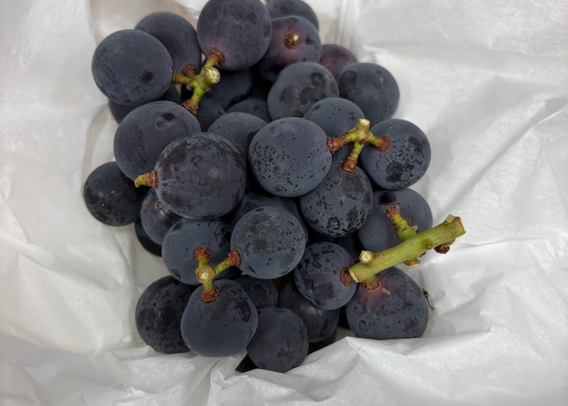 加工用】種無し巨峰1kg 。バラ、軸なし、小粒 | ひばら農園