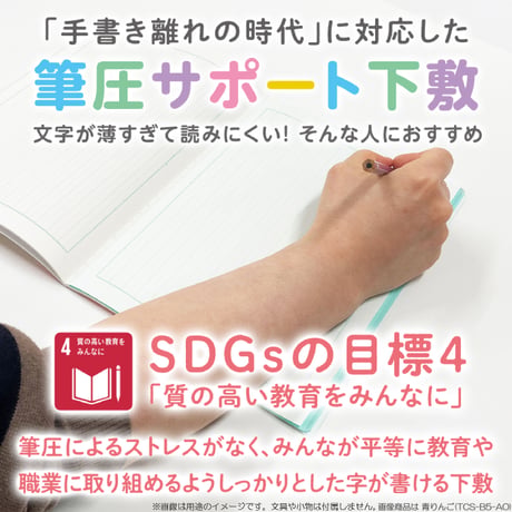 B5 軟質下敷き 透明カラーのしっかりシタ字キ B5判 TCS-B5 共栄プラスチック