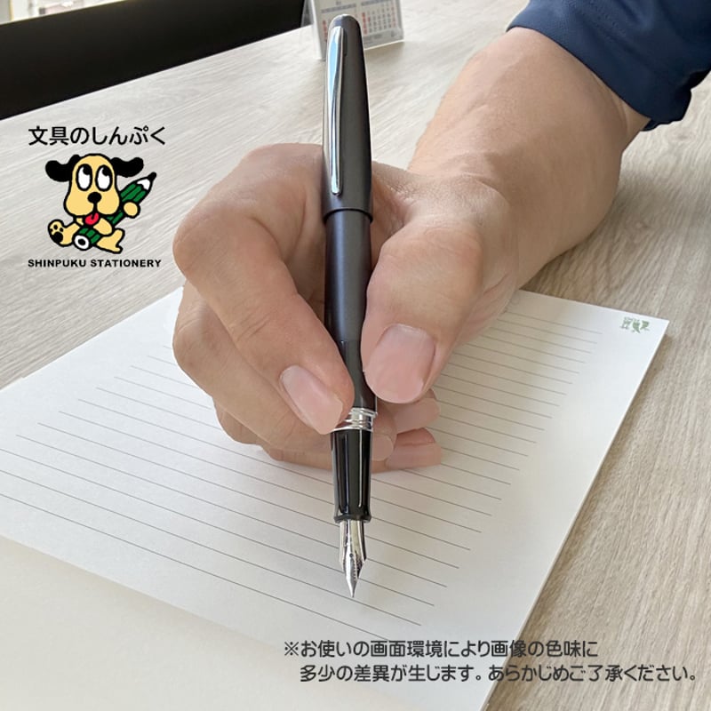 万年筆 コクーン COCOON 細字 パイロット FCO-3SR-MGY-F