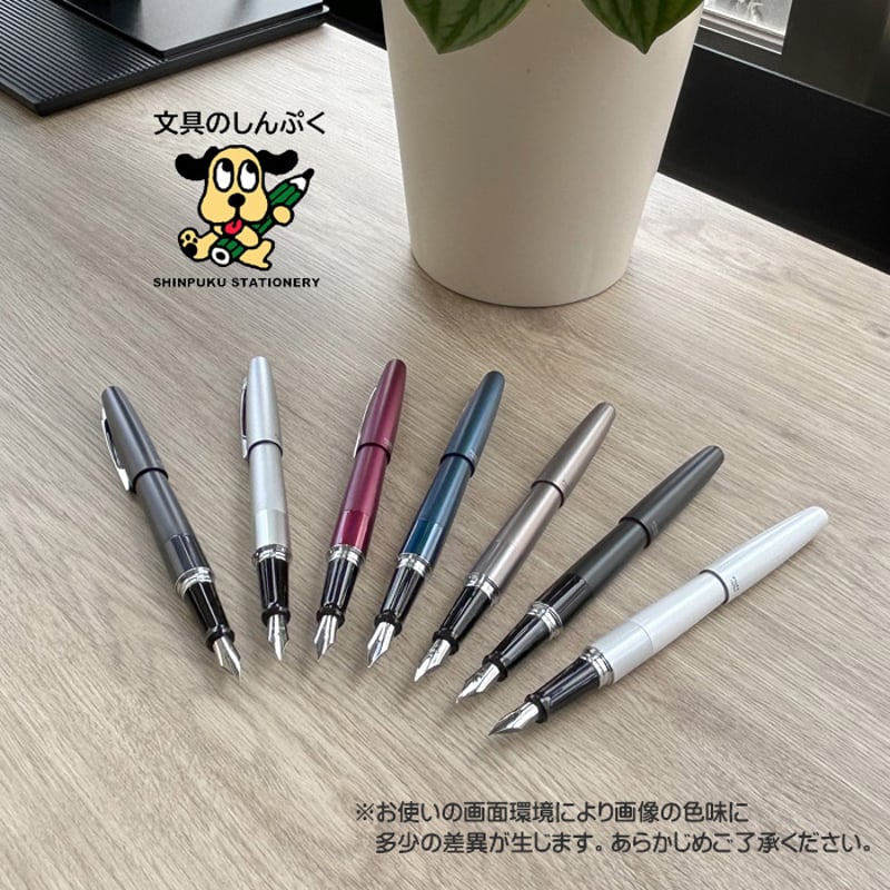 万年筆 コクーン COCOON 細字 パイロット FCO-3SR-B-F ブラック （Z） |