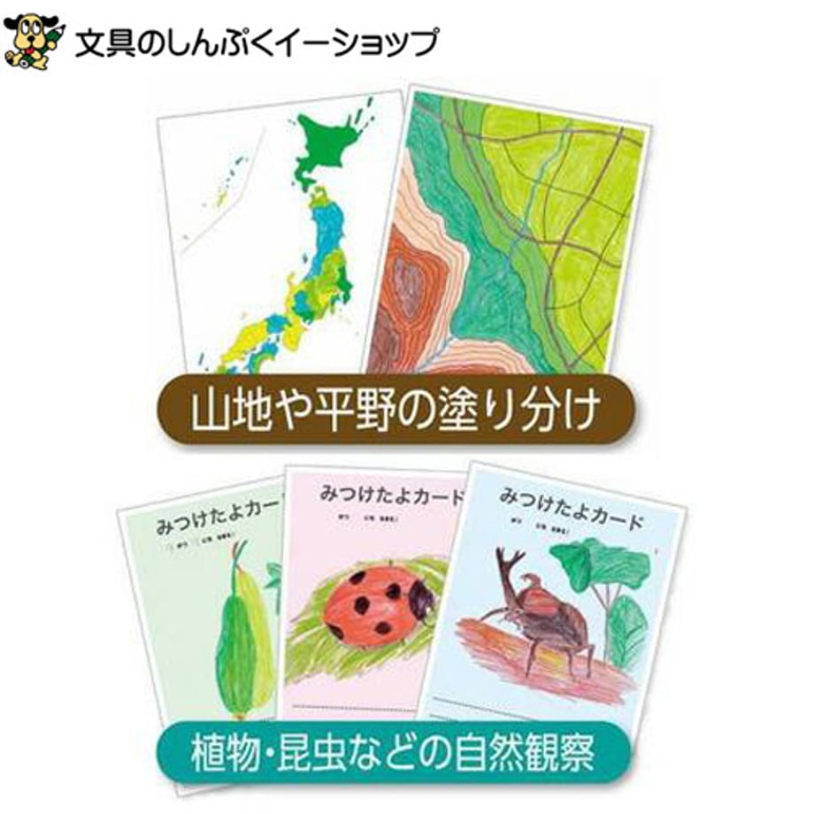 66d67ac85793b505042527ca