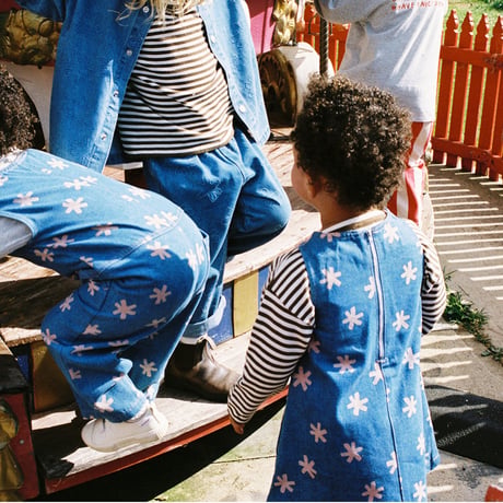 Organic Starlight  Denim Dress