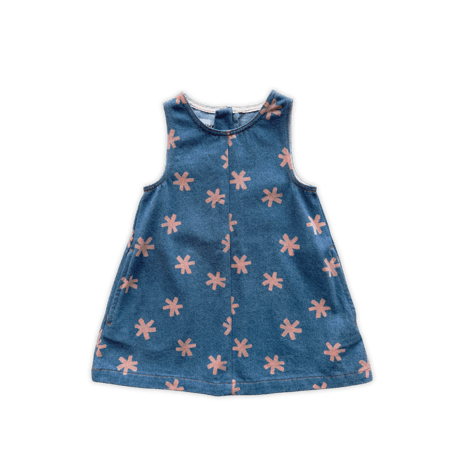 Organic Starlight  Denim Dress