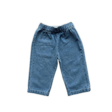 Organic Starlight Embroidery Denim Pant