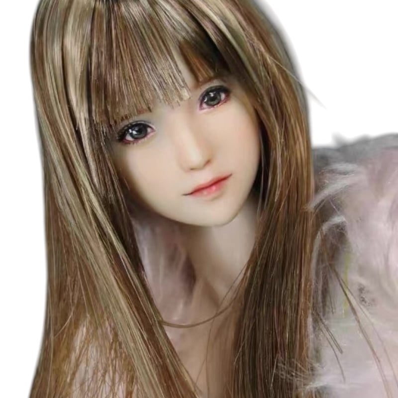 1/6 フィギュア ヘッド 12インチ 手仕上げモデル EINIブランド | EINI