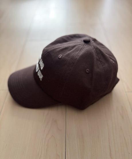 MADE FOR EVERYDAY USE CAP