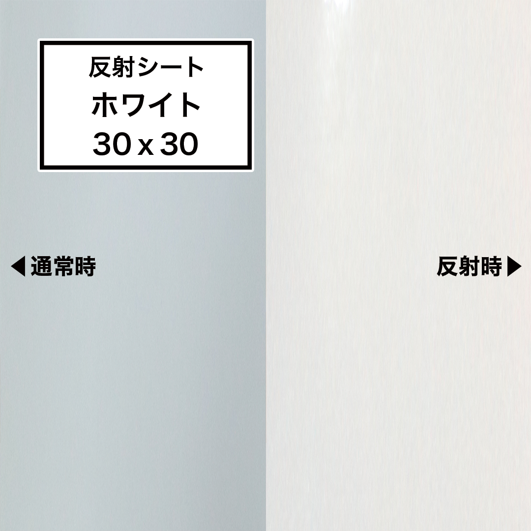 高級ブランド 素敵な夜をあなたと共にカッティングシート、反射シート白 店舗・販促用品