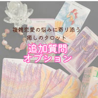 追加オプション