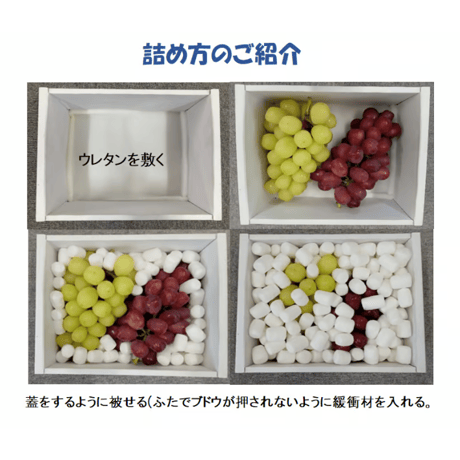 緩衝材 ライスラップ　ミニミニ（小パック）1,000パック入り