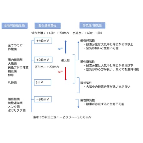 育苗セット