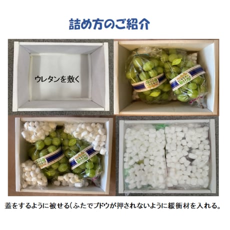 緩衝材 ライスラップ　ミニミニ（小パック）1,000パック入り