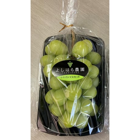 シャインマスカット　2房（約1.3Kg)　　　　限定販売(⋈◍＞◡＜◍)。✧♡
