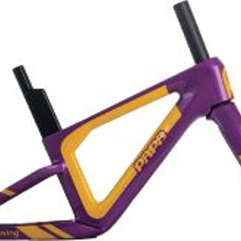 LIGHTNING | PAPABIKE JAPAN LIGHTNING | PAPABIKE JAPAN