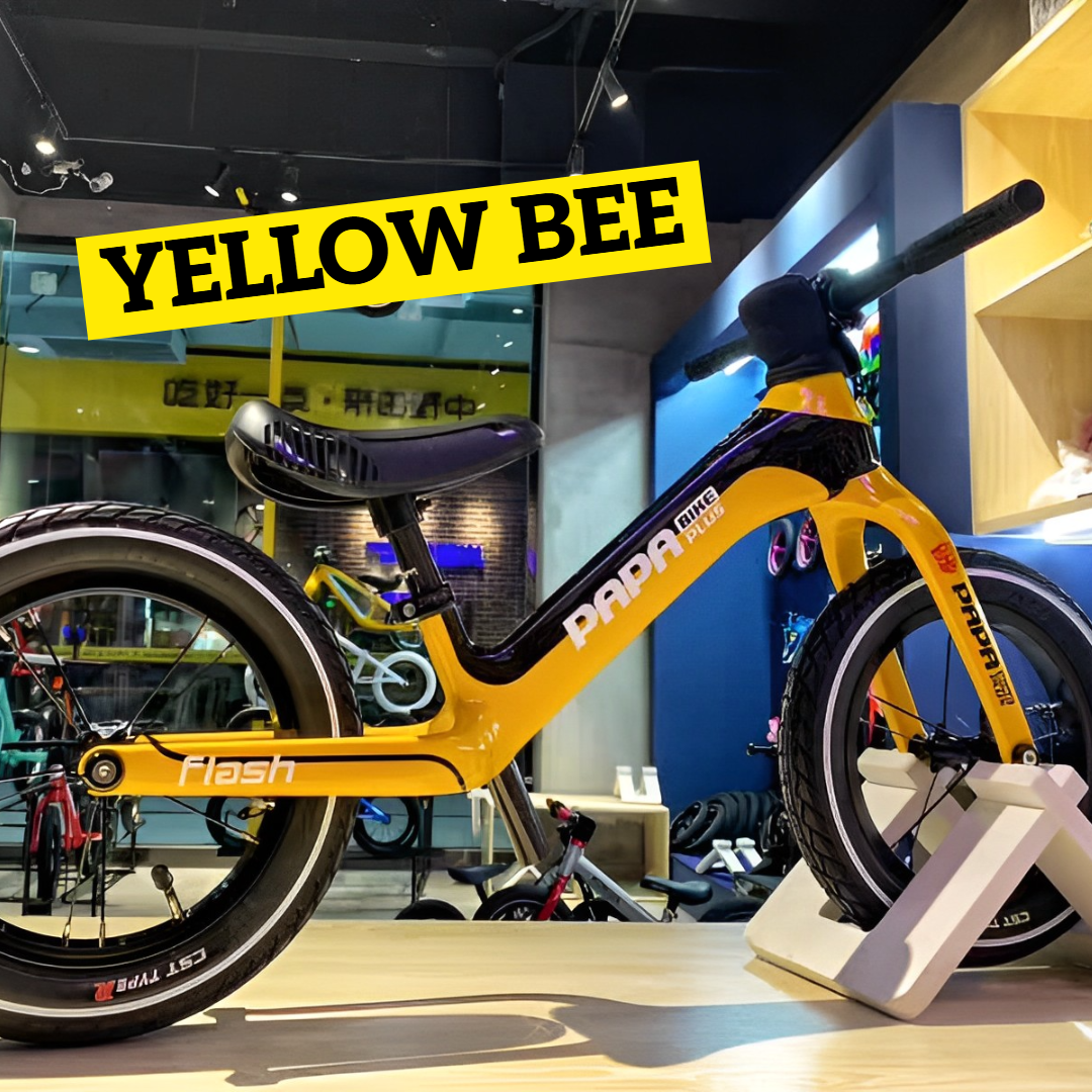 値下げ！　PAPABIKE フラッシュプロ FLASH PRO | PAPABIKE JAPAN
