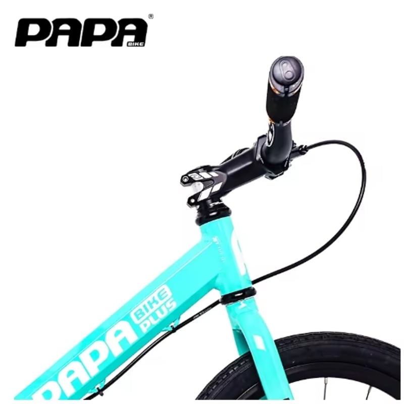 MASTER | PAPABIKE JAPAN