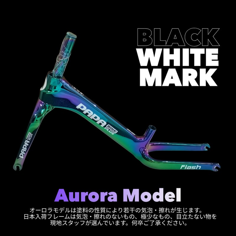 FLASH | PAPABIKE JAPAN