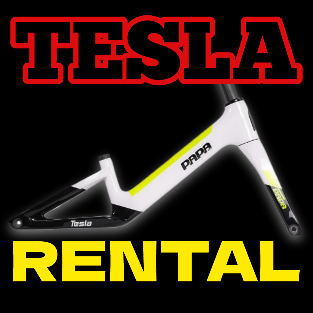 TESLAレンタル | PAPABIKE JAPAN