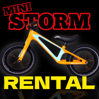 MINI STORMレンタル