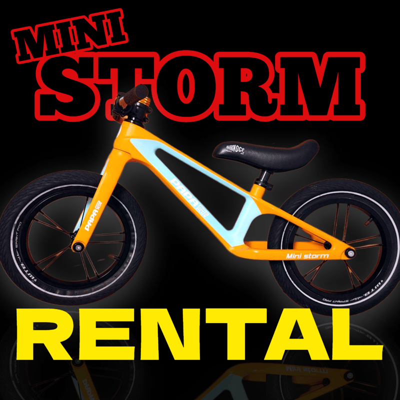 MINI STORMレンタル | PAPABIKE JAPAN MINI STORMレンタル | PAPABIKE JAPAN
