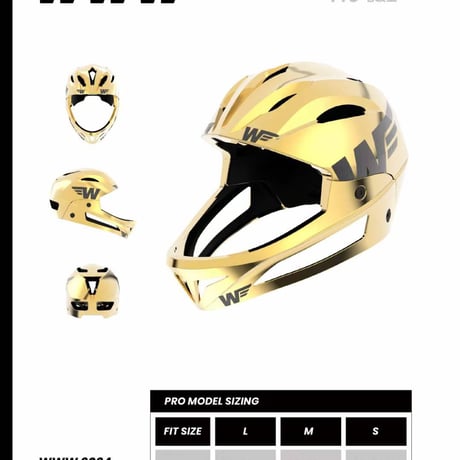 WWW HELMET 『PRO Plating』