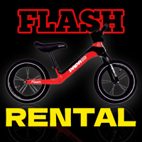 FLASH PROレンタル | PAPABIKE JAPAN
