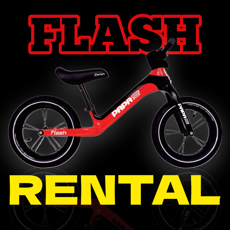 FLASHレンタル | PAPABIKE JAPAN