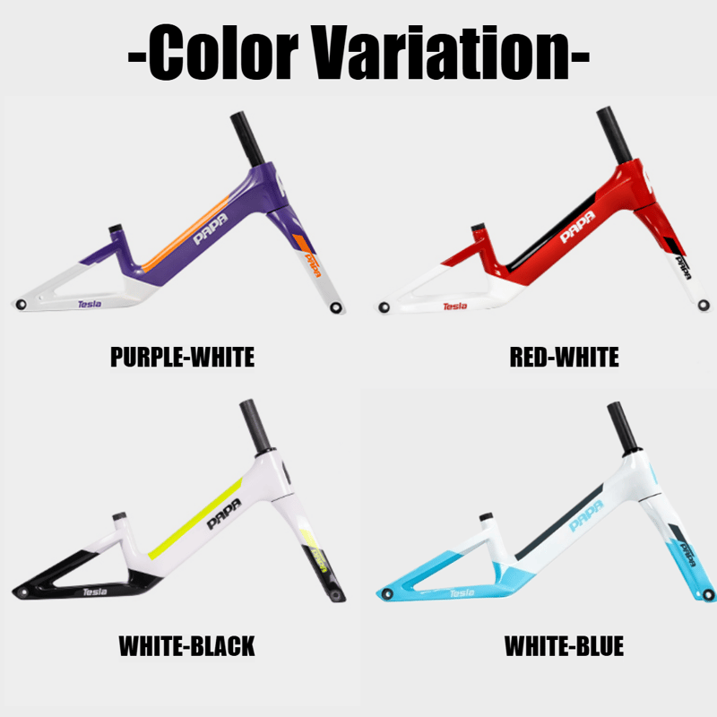 TESLA | PAPABIKE JAPAN