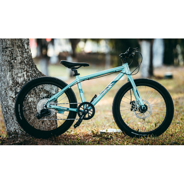 ALPHA 20' | PAPABIKE JAPAN
