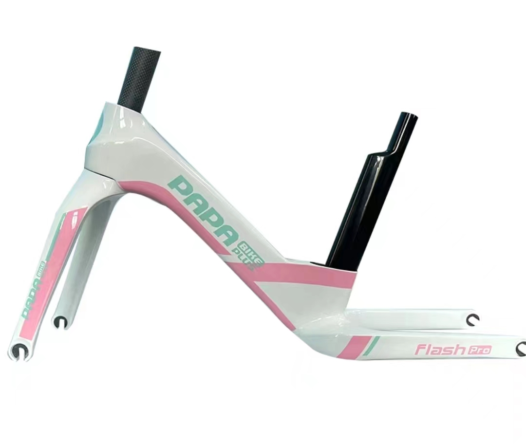 FLASH PRO | PAPABIKE JAPAN