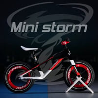 MINI STORM