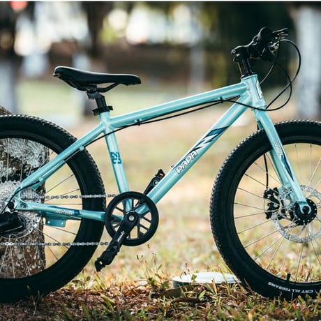 CATEGORY CITY BIKE／ROAD BIKE | PAPABIKE JAPAN