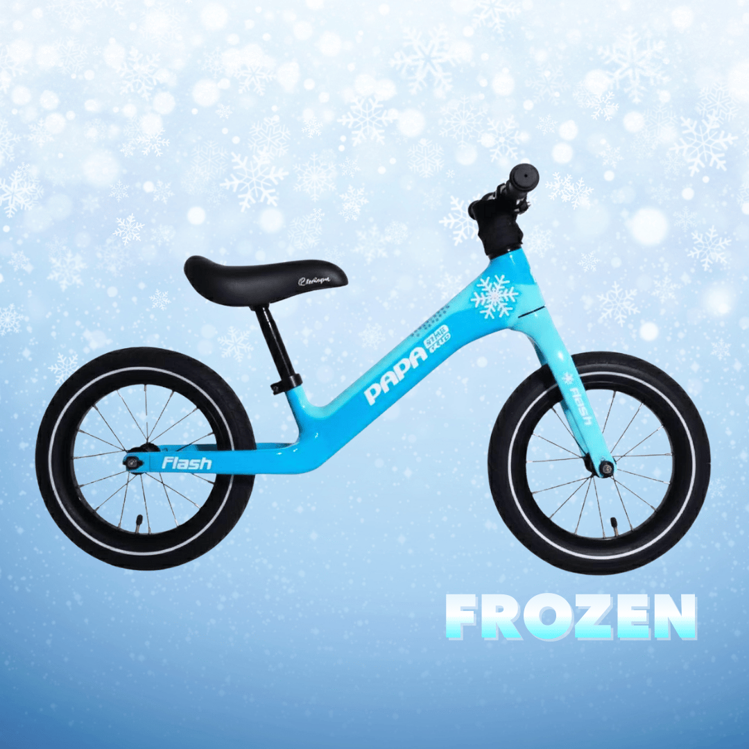 FLASH | PAPABIKE JAPAN