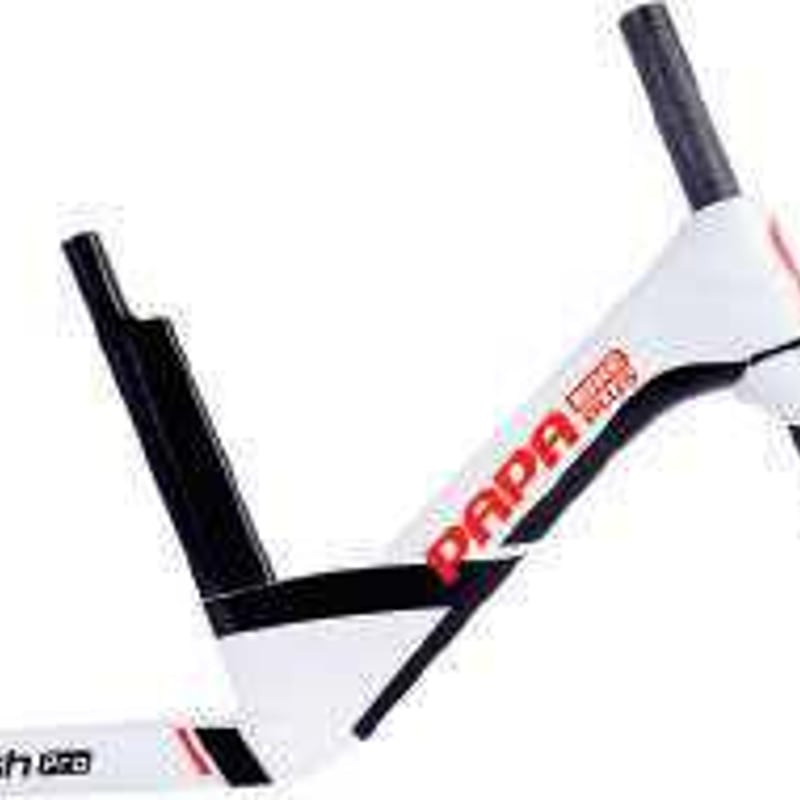 FLASH PRO | PAPABIKE JAPAN