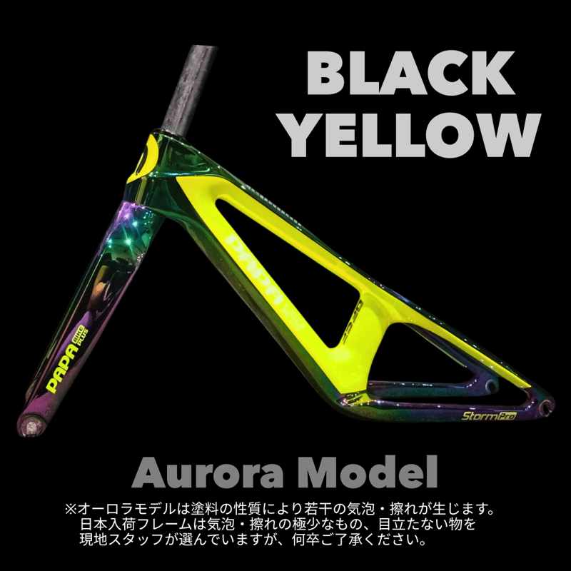 PAPABIKE Storm Pro パパバイク カーボンフレーム　その他 STORM PRO | PAPABIKE JAPAN