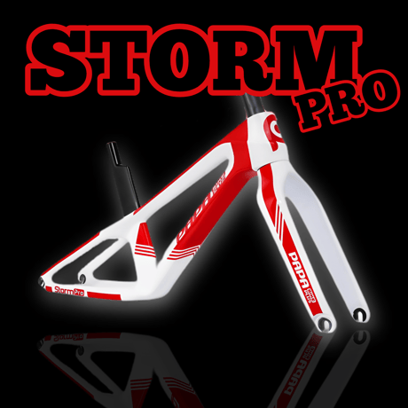 CATEGORY PAPABIKE FRAME | PAPABIKE JAPAN