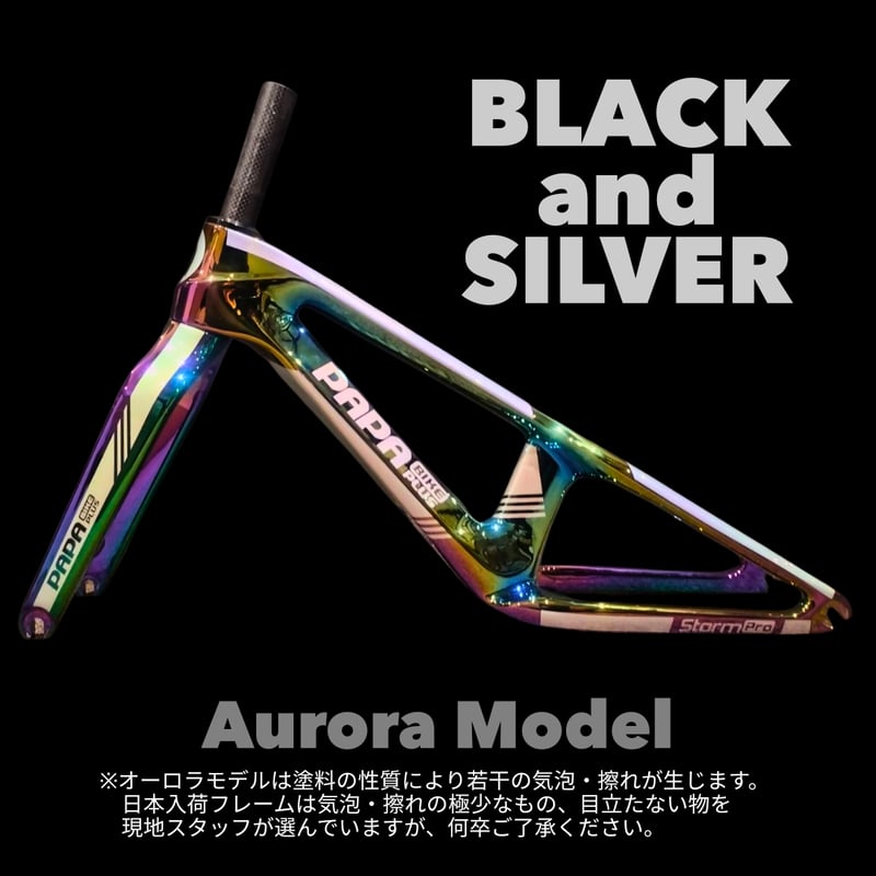 STORM PRO | PAPABIKE JAPAN