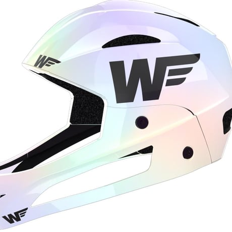 WWW HELMET 『PRO Plating』