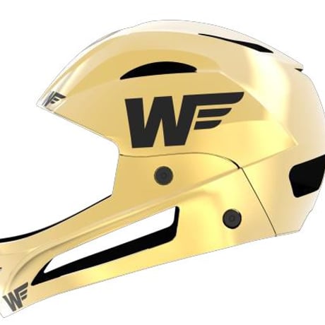 WWW HELMET 『PRO Plating』