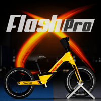 FLASH PRO