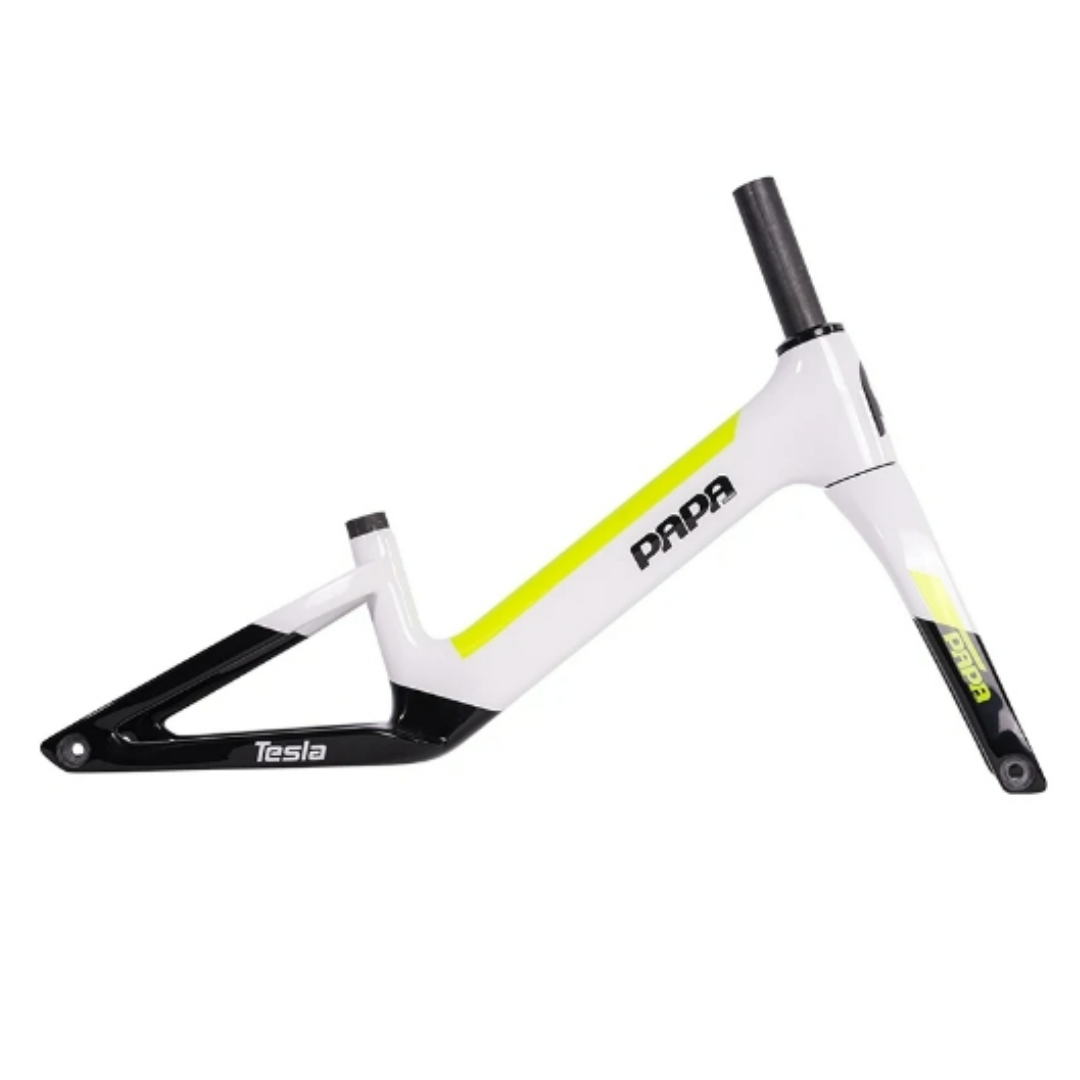 PAPABIKE TESLA パパバイク　テスラ　カーボンフレーム TESLA | PAPABIKE JAPAN