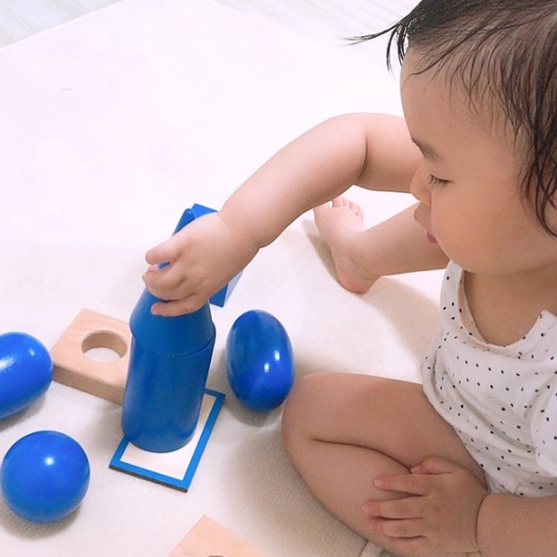 モンテッソーリ教育式】算数好きになる数教育習得BOXプロ ＋数教育講座