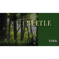 Beetle