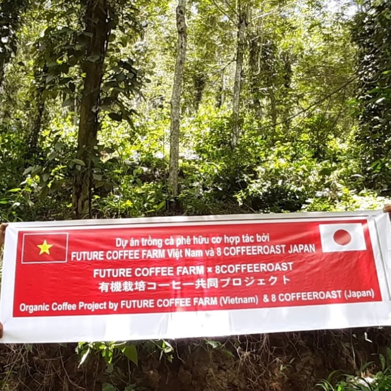 futurecoffeefarm ToiさんnatureロブスタRed-Honey100g |