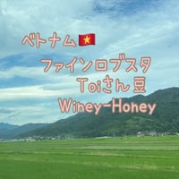 ベトナムファインロブスタToiさん豆　winey honey100g