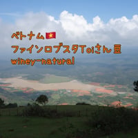 ベトナム🇻🇳ファインロブスタwiney-Natural 100g